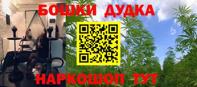 твердый Камышлов