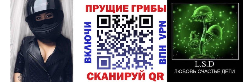 MEGA как войти Рубцовск Псилоцибиновые грибы Psilocybine cubensis